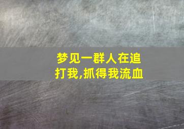 梦见一群人在追打我,抓得我流血