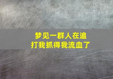 梦见一群人在追打我抓得我流血了