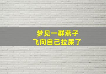 梦见一群燕子飞向自己拉屎了