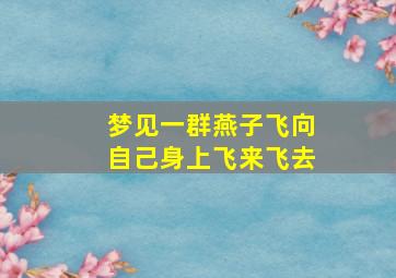 梦见一群燕子飞向自己身上飞来飞去