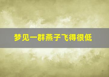 梦见一群燕子飞得很低