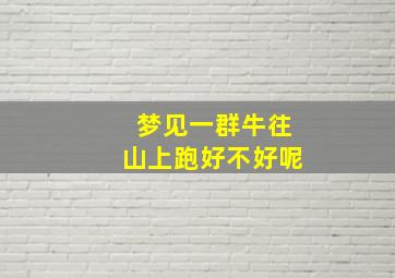 梦见一群牛往山上跑好不好呢