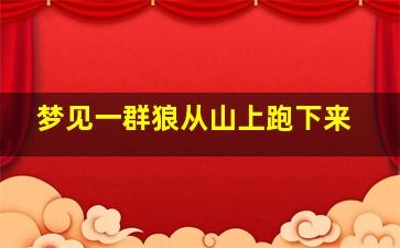 梦见一群狼从山上跑下来