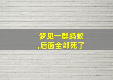 梦见一群蚂蚁,后面全部死了