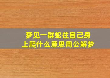 梦见一群蛇往自己身上爬什么意思周公解梦