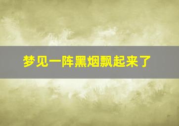 梦见一阵黑烟飘起来了