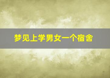 梦见上学男女一个宿舍