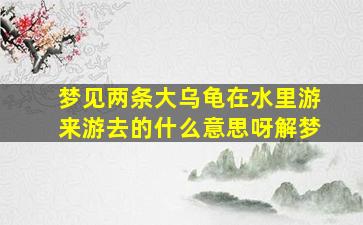 梦见两条大乌龟在水里游来游去的什么意思呀解梦