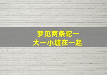 梦见两条蛇一大一小缠在一起