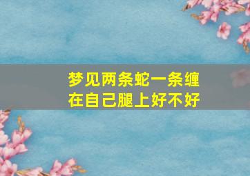 梦见两条蛇一条缠在自己腿上好不好