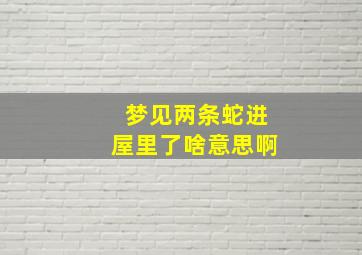 梦见两条蛇进屋里了啥意思啊