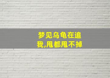 梦见乌龟在追我,甩都甩不掉