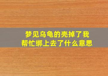 梦见乌龟的壳掉了我帮忙绑上去了什么意思