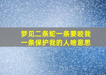 梦见二条蛇一条要咬我一条保护我的人啥意思