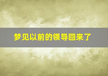 梦见以前的领导回来了