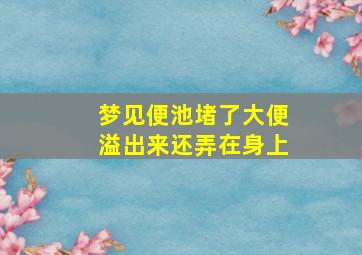 梦见便池堵了大便溢出来还弄在身上