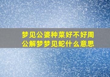 梦见公婆种菜好不好周公解梦梦见蛇什么意思