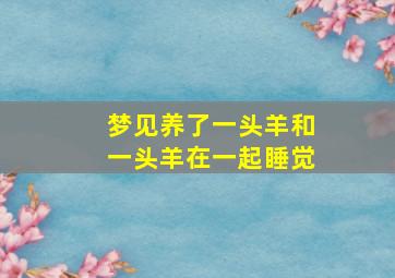 梦见养了一头羊和一头羊在一起睡觉