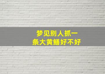 梦见别人抓一条大黄鳝好不好