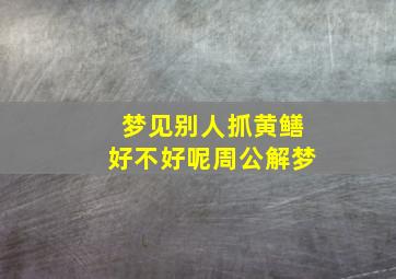 梦见别人抓黄鳝好不好呢周公解梦