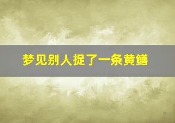 梦见别人捉了一条黄鳝