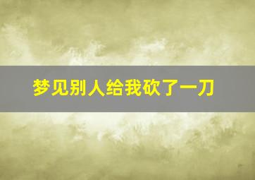 梦见别人给我砍了一刀