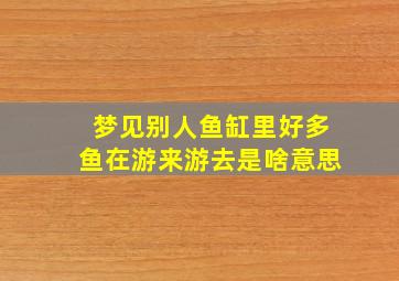 梦见别人鱼缸里好多鱼在游来游去是啥意思