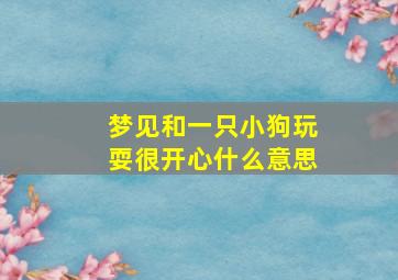 梦见和一只小狗玩耍很开心什么意思