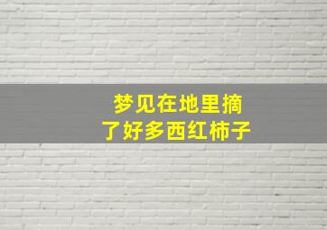 梦见在地里摘了好多西红柿子