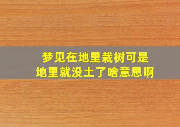 梦见在地里栽树可是地里就没土了啥意思啊