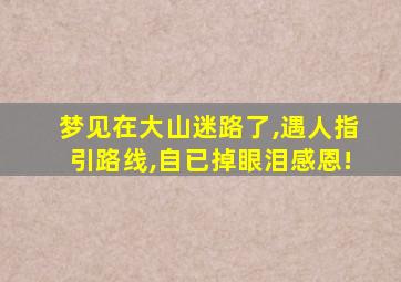 梦见在大山迷路了,遇人指引路线,自已掉眼泪感恩!