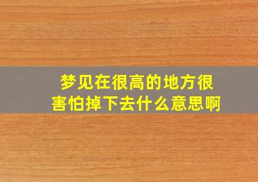 梦见在很高的地方很害怕掉下去什么意思啊