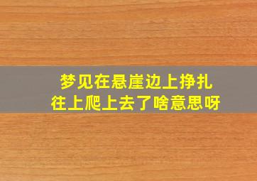 梦见在悬崖边上挣扎往上爬上去了啥意思呀