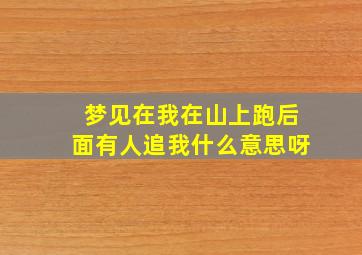 梦见在我在山上跑后面有人追我什么意思呀