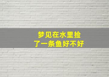 梦见在水里捡了一条鱼好不好