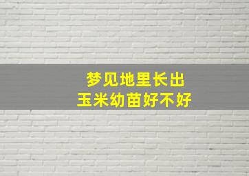 梦见地里长出玉米幼苗好不好