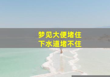 梦见大便堵住下水道堵不住