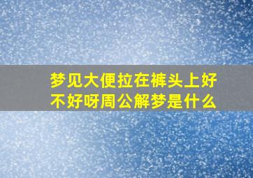 梦见大便拉在裤头上好不好呀周公解梦是什么