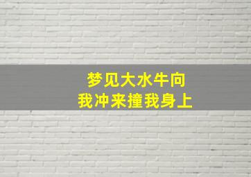 梦见大水牛向我冲来撞我身上