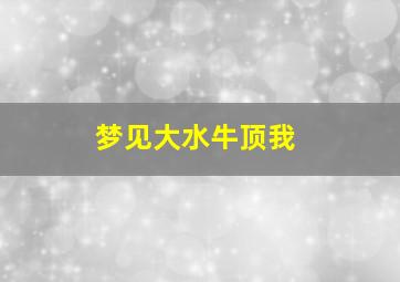 梦见大水牛顶我