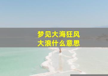 梦见大海狂风大浪什么意思