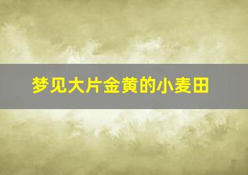 梦见大片金黄的小麦田