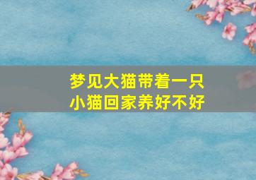 梦见大猫带着一只小猫回家养好不好