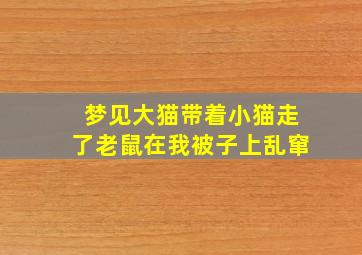 梦见大猫带着小猫走了老鼠在我被子上乱窜