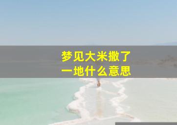 梦见大米撒了一地什么意思