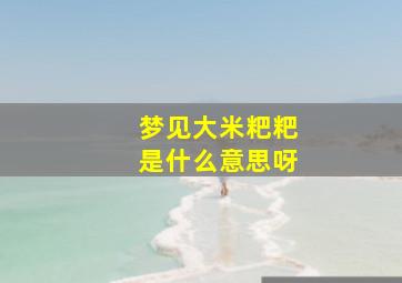 梦见大米粑粑是什么意思呀