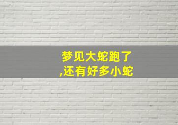 梦见大蛇跑了,还有好多小蛇