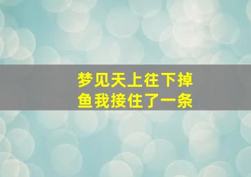 梦见天上往下掉鱼我接住了一条