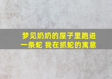 梦见奶奶的屋子里跑进一条蛇 我在抓蛇的寓意