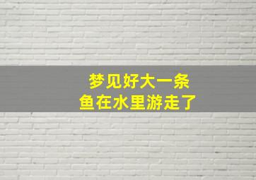 梦见好大一条鱼在水里游走了